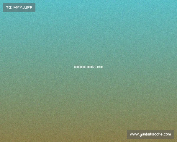 当代明诚旗下赛事-当代明诚2019年报